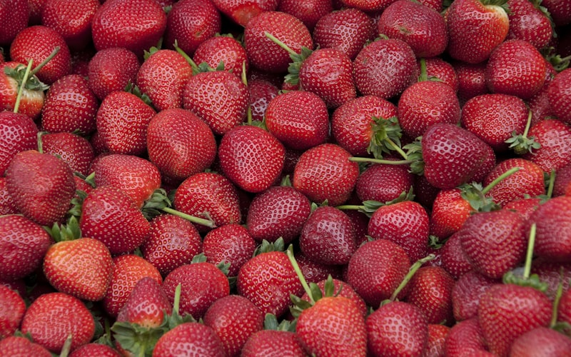Como Plantar Morango em Casa: Passo a Passo