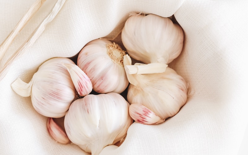 Como Plantar Alho em Casa: Passo a Passo Simples