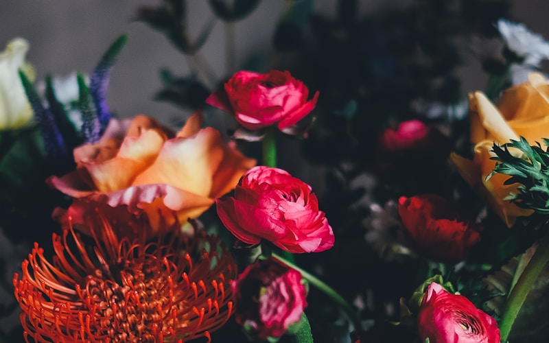 Flores Comestíveis: Quais Plantar e Como Usar na Cozinha