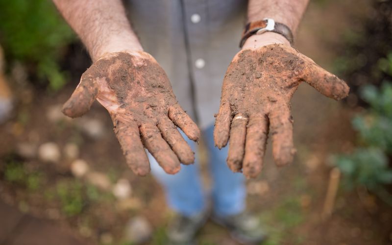 Compostagem em Apartamento: Guia Prático para Espaços Pequenos