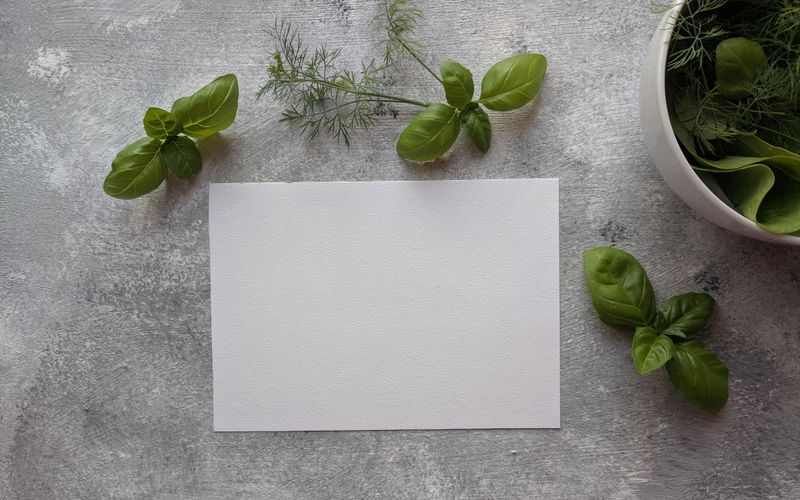 Ervas Medicinais na Horta: 12 Plantas que Curam e Como Cultivar